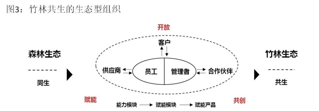 未来12年，京东组织管理的三大革新